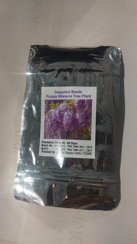 The Garden’s Cascading Beauty All Year Round (Ground Cover Flower Mix)