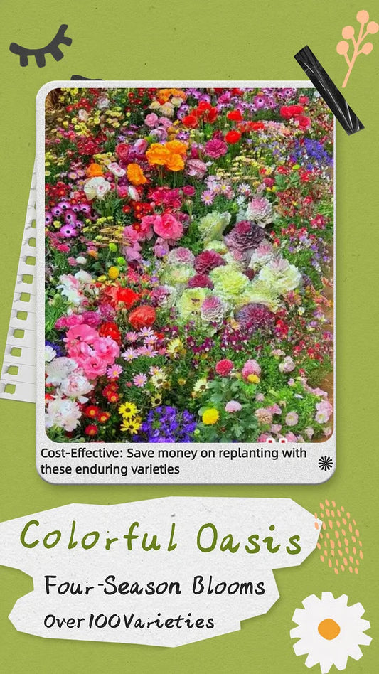 Varieties of Flower Seeds (Pack of 100)+ Plant Growth Supplement