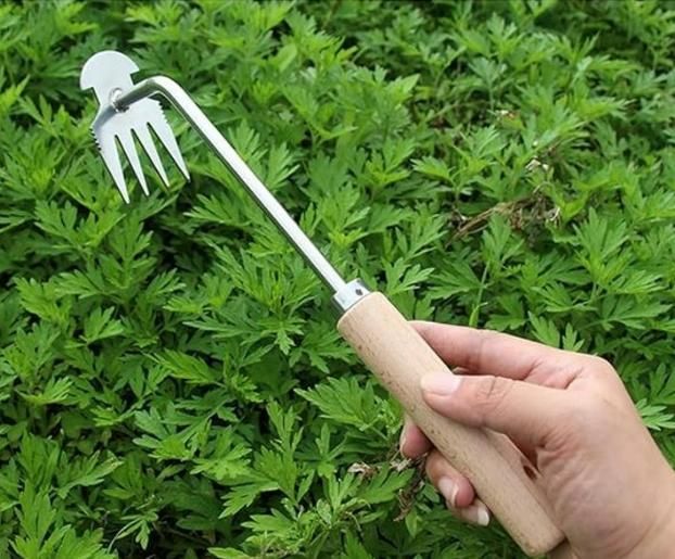 Precision Weeding Tool – Puller Sharp for Effortless Garden Cleanup